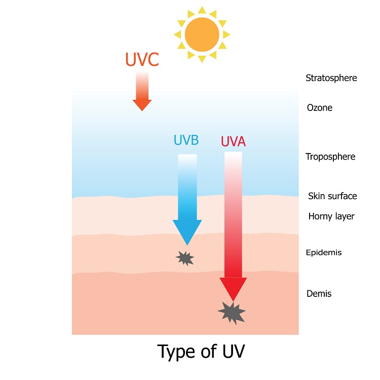 紫外線の種類について解説